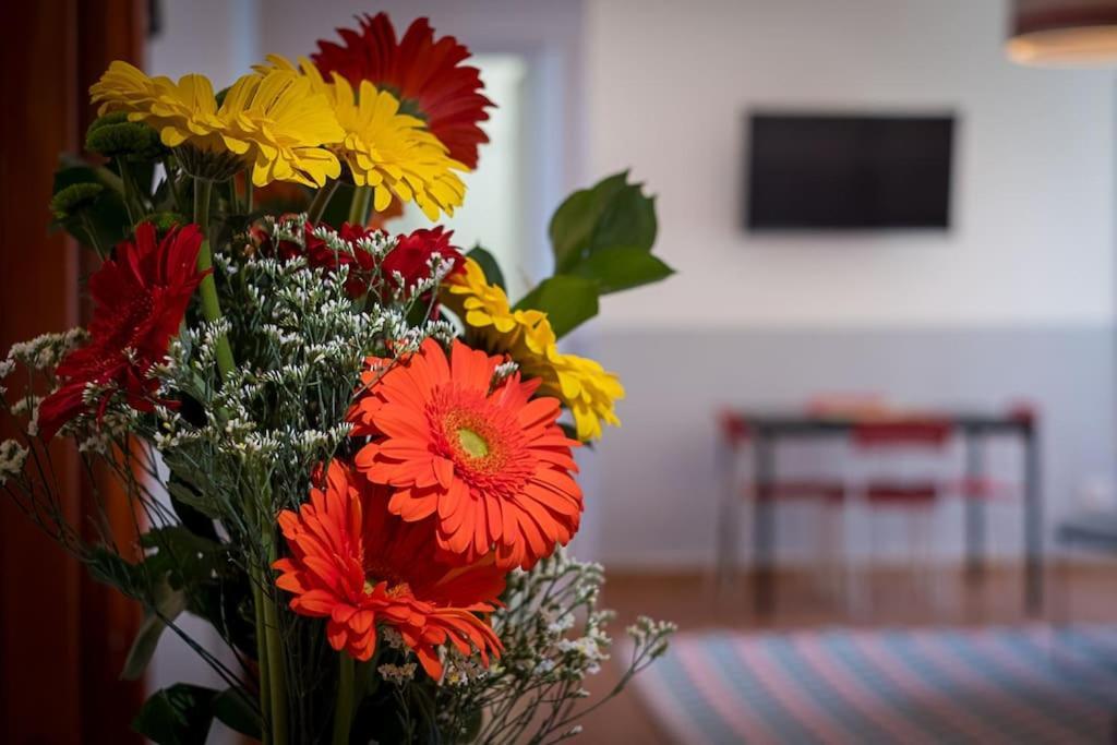 Apartment Ht Bilo Colosseo With Terrace Rome